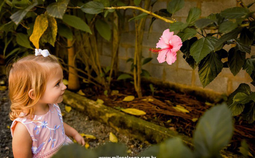 Sessão Externa | Beatriz 2 Anos Sessão Externa | Beatriz 2 Anos