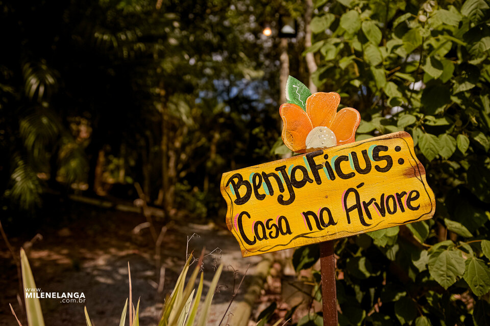 Respirando com a Mi | BenjaFicus - Casa na Árvore Respirando com a Mi | BenjaFicus - Casa na Árvore